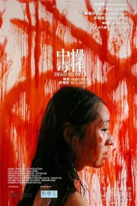 آرامی مرده
