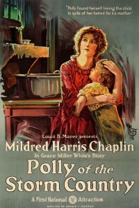 Polly of the Storm Country - Poster