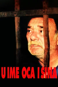 به نام پدر و پسر - Poster
