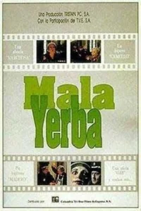 مالا یربا