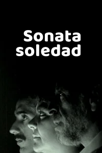 سوناتا غربت