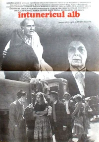 تاریکی سفید