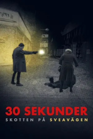 ۳۰ ثانیه: گلوله بر روی سویلاگین - Poster
